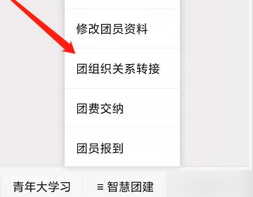 如何在手机团支部进行组织关系转接？
