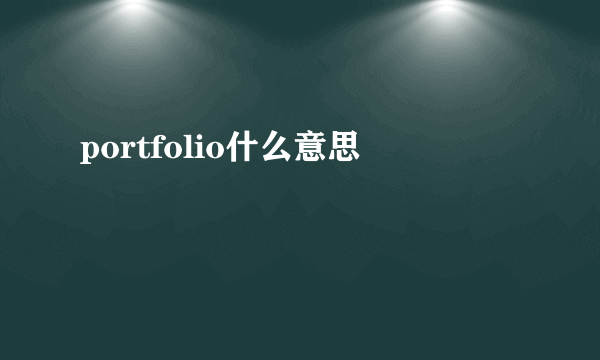 portfolio什么意思