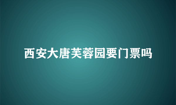 西安大唐芙蓉园要门票吗