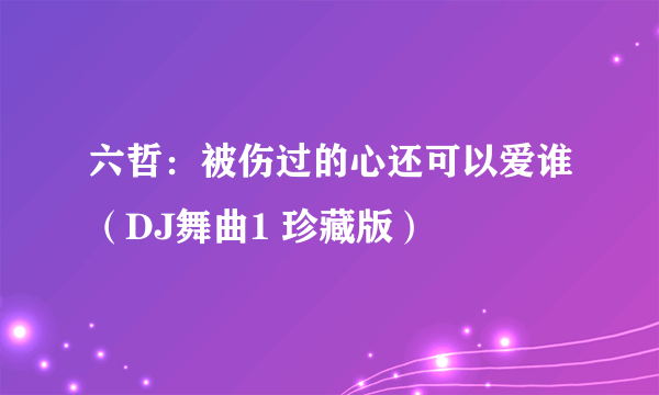 六哲：被伤过的心还可以爱谁（DJ舞曲1 珍藏版）