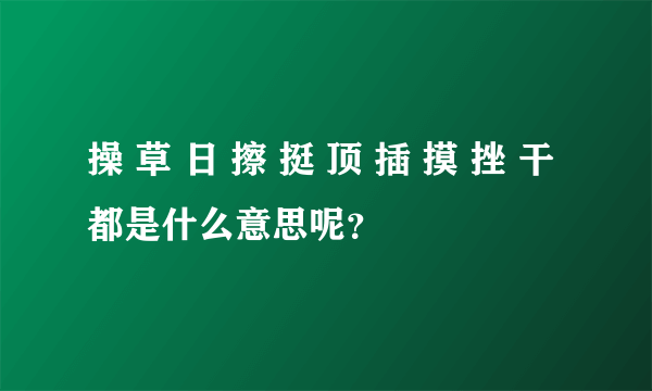 操 草 日 擦 挺 顶 插 摸 挫 干都是什么意思呢？