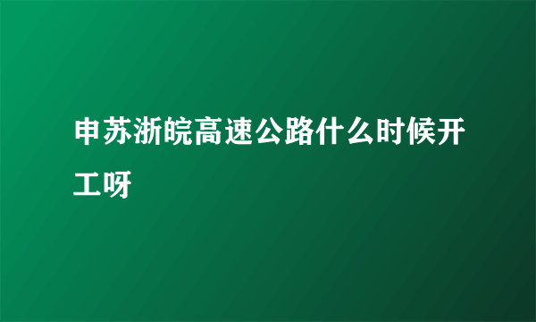 申苏浙皖高速公路什么时候开工呀