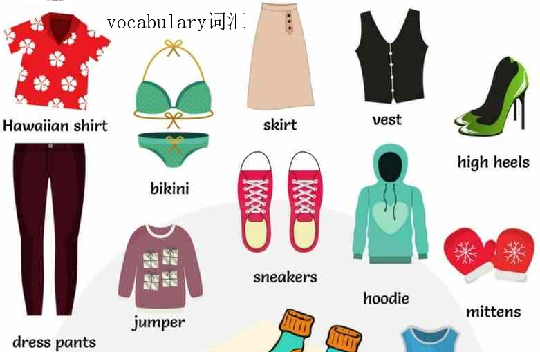 vocabulary能作可数名词吗