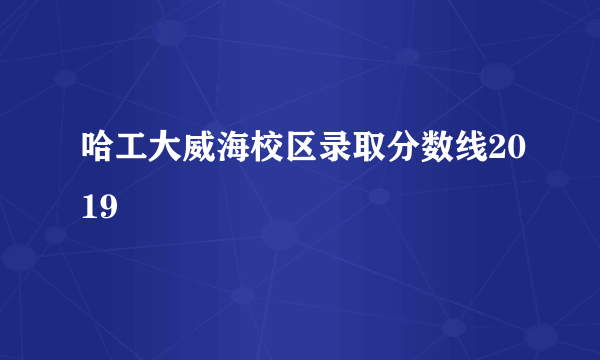 哈工大威海校区录取分数线2019