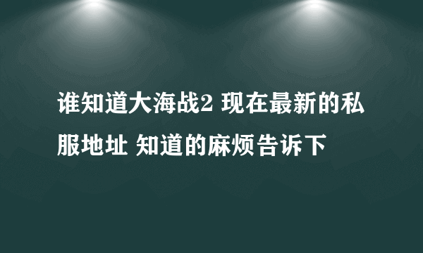 谁知道大海战2 现在最新的私服地址 知道的麻烦告诉下