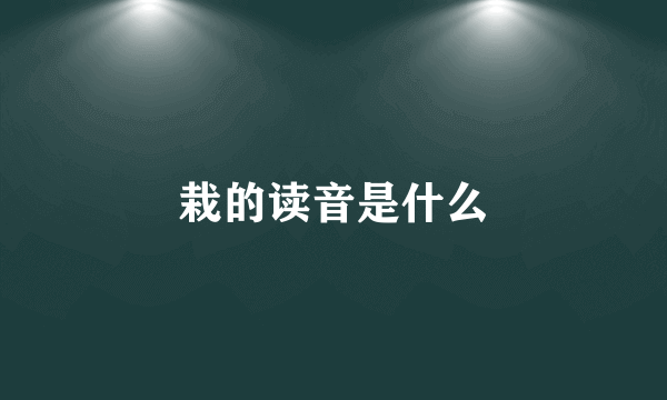 栽的读音是什么