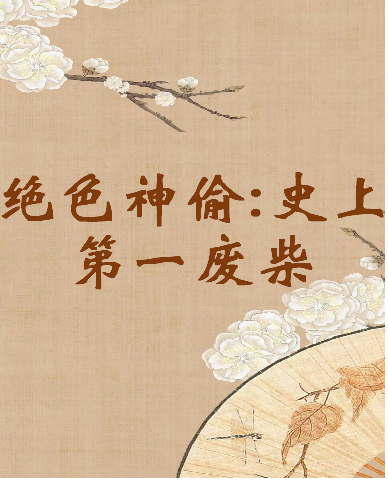 《绝色神偷：史上第一废柴》txt下载在线阅读全文，求百度网盘云资源