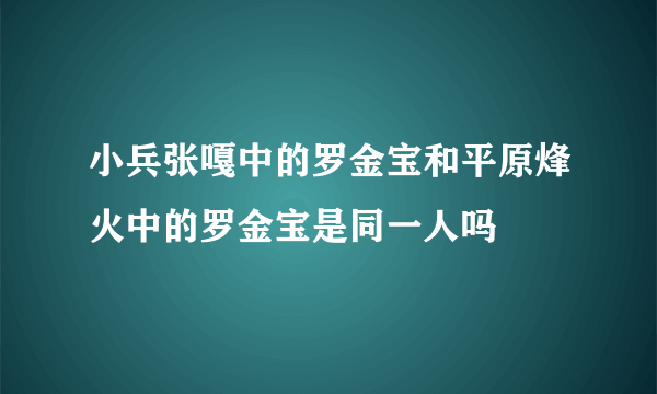 小兵张嘎中的罗金宝和平原烽火中的罗金宝是同一人吗