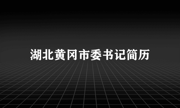 湖北黄冈市委书记简历