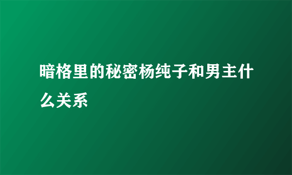 暗格里的秘密杨纯子和男主什么关系