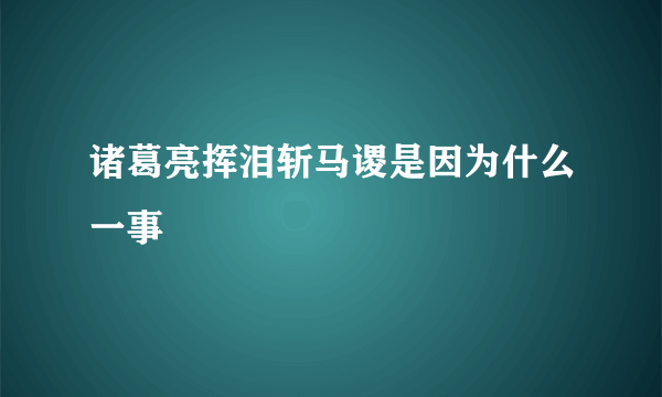 诸葛亮挥泪斩马谡是因为什么一事