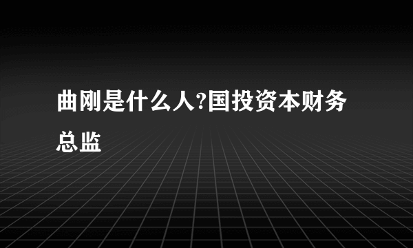 曲刚是什么人?国投资本财务总监