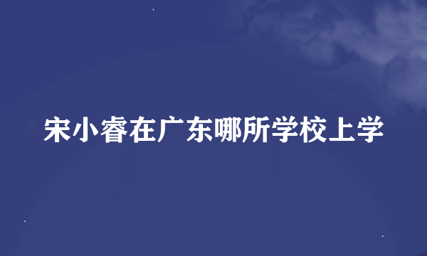 宋小睿在广东哪所学校上学