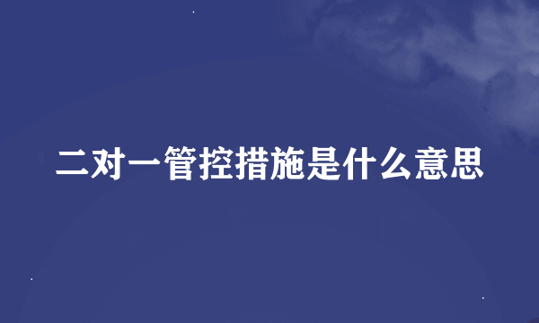 二对一管控措施是什么意思