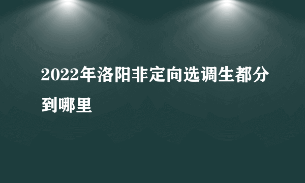 2022年洛阳非定向选调生都分到哪里