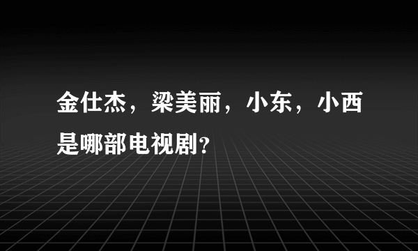 金仕杰，梁美丽，小东，小西是哪部电视剧？