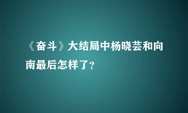 《奋斗》大结局中杨晓芸和向南最后怎样了？