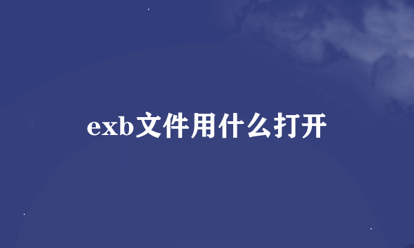 exb文件用什么打开