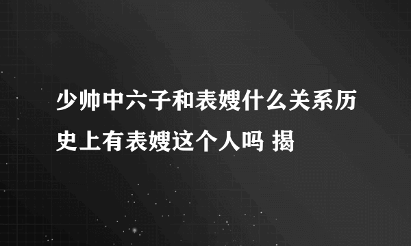 少帅中六子和表嫂什么关系历史上有表嫂这个人吗 揭