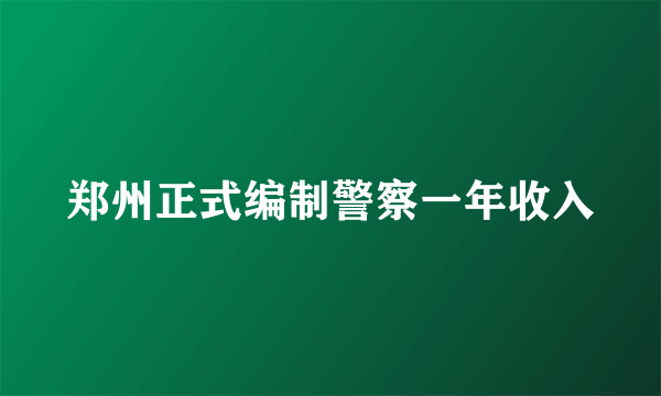 郑州正式编制警察一年收入