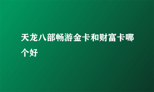 天龙八部畅游金卡和财富卡哪个好