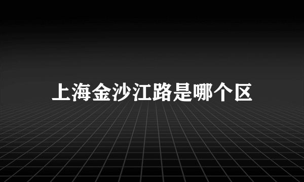 上海金沙江路是哪个区