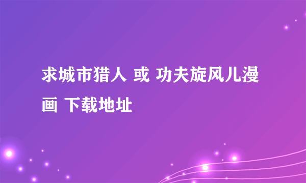 求城市猎人 或 功夫旋风儿漫画 下载地址