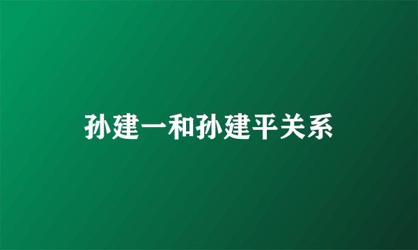 孙建一和孙建平关系