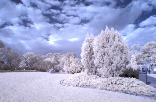 描写冬天下雪后的情景