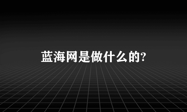 蓝海网是做什么的?