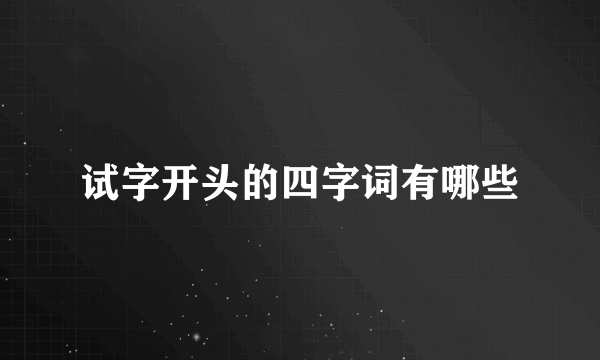 试字开头的四字词有哪些