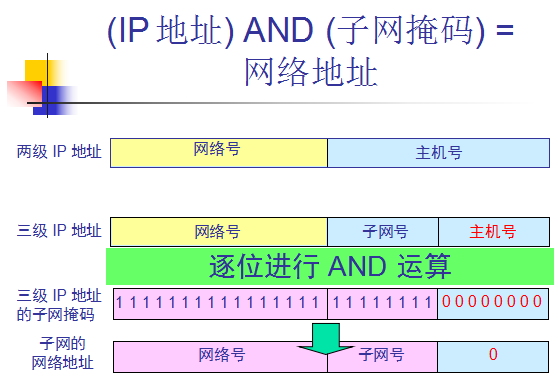 网络号是什么啊？