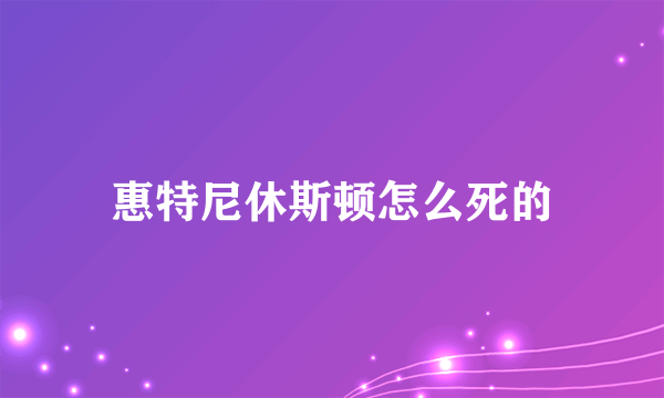 惠特尼休斯顿怎么死的