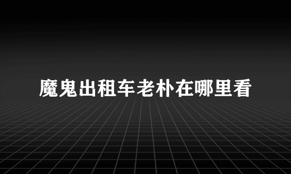 魔鬼出租车老朴在哪里看