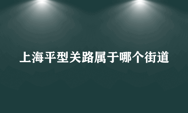 上海平型关路属于哪个街道