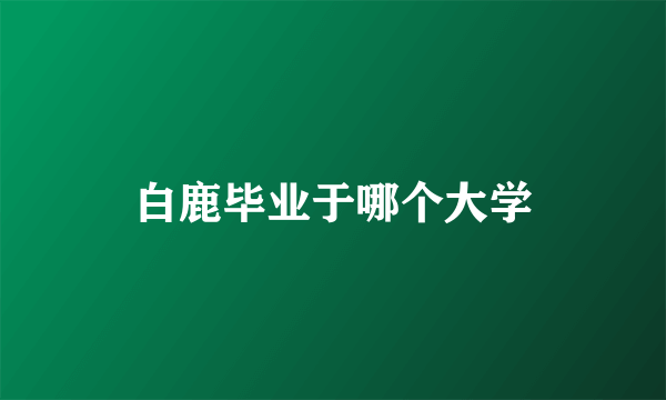 白鹿毕业于哪个大学