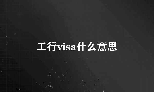 工行visa什么意思