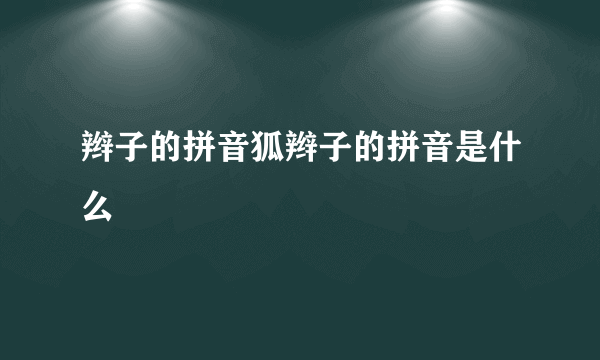 辫子的拼音狐辫子的拼音是什么