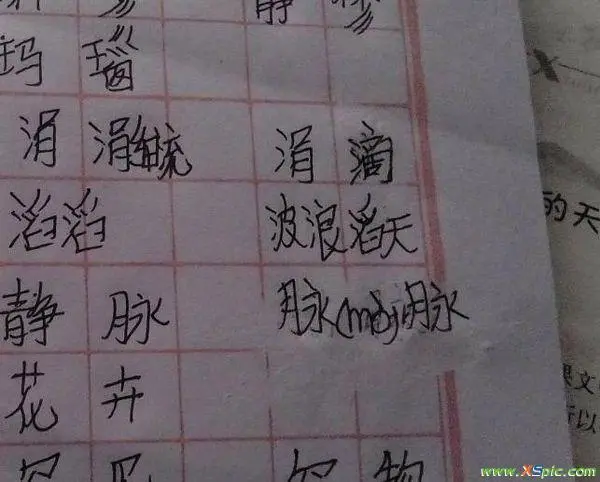 巴组什么词