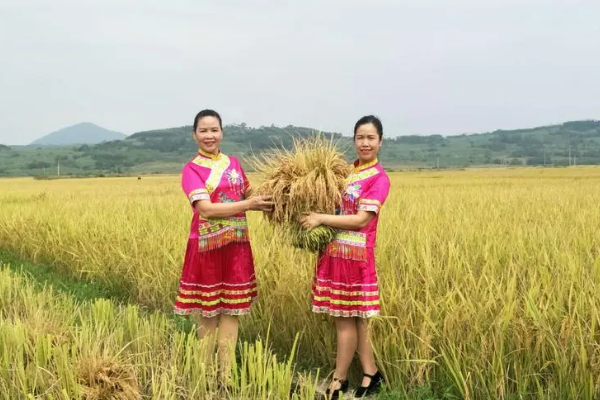 沉甸甸的拼音是什么拼音