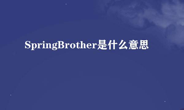 SpringBrother是什么意思