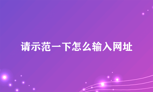 请示范一下怎么输入网址