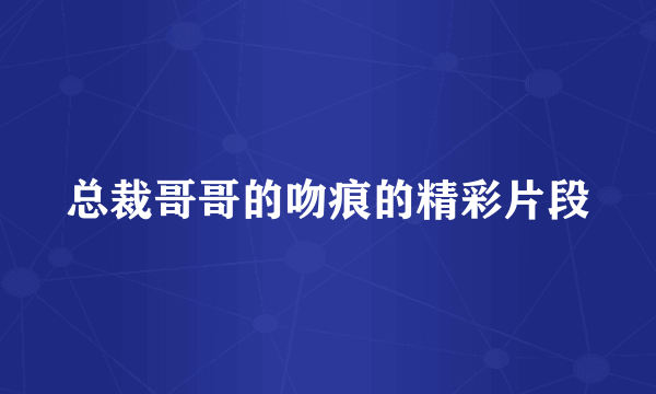 总裁哥哥的吻痕的精彩片段