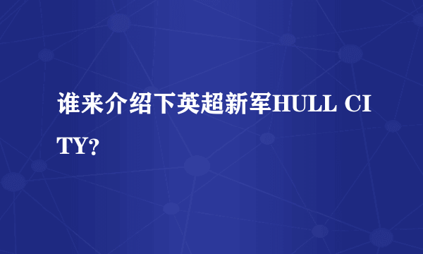 谁来介绍下英超新军HULL CITY？