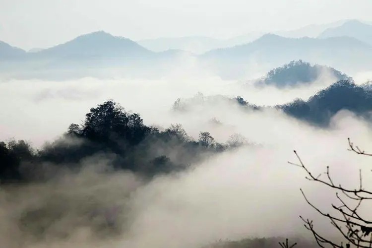 不畏浮云遮望眼只缘身在最高层是什么意思？