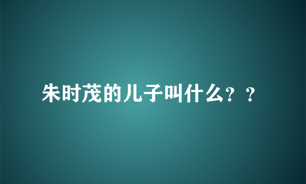 朱时茂的儿子叫什么？？