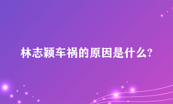 林志颖车祸的原因是什么?