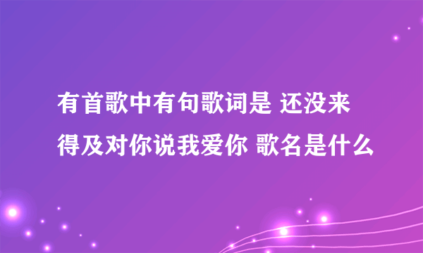 有首歌中有句歌词是 还没来得及对你说我爱你 歌名是什么