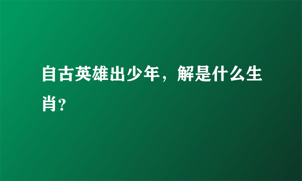 自古英雄出少年，解是什么生肖？