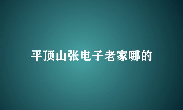 平顶山张电子老家哪的